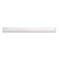 MagniRule Magnifier/ 12" Ruler